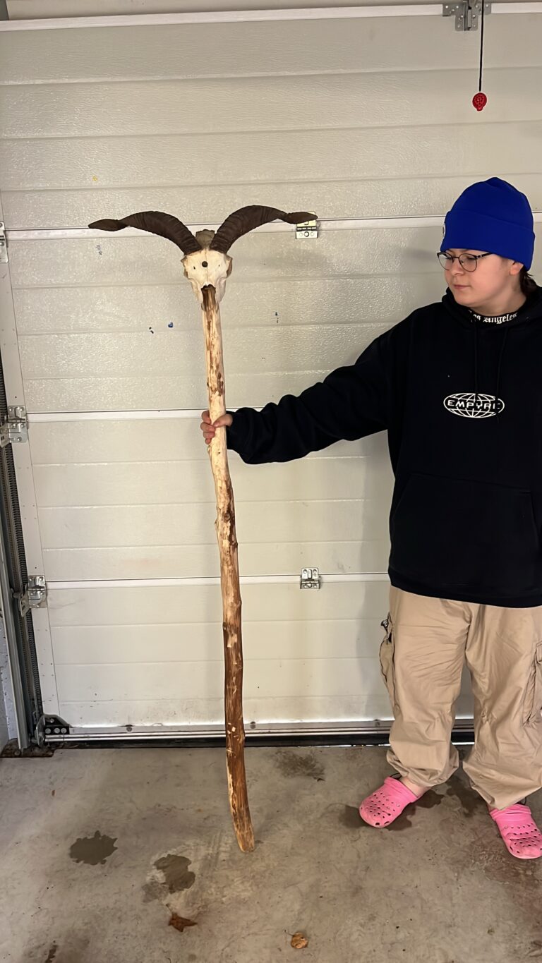 EF279E35-783C-41AE-BBDA-EEBE0D558C27