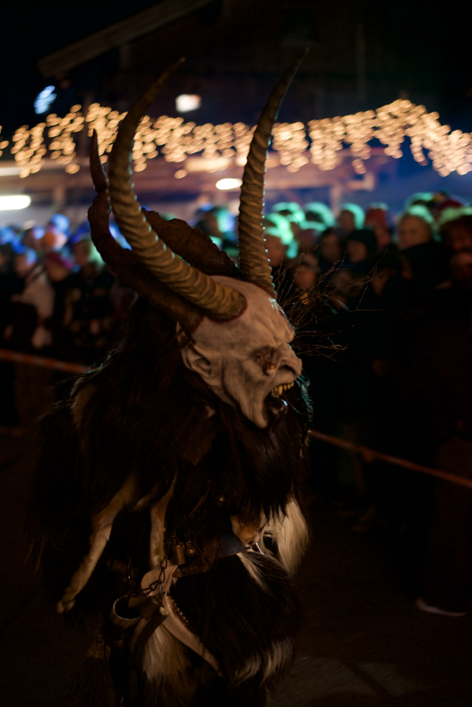 Foto 24.11.24, 17 52 48