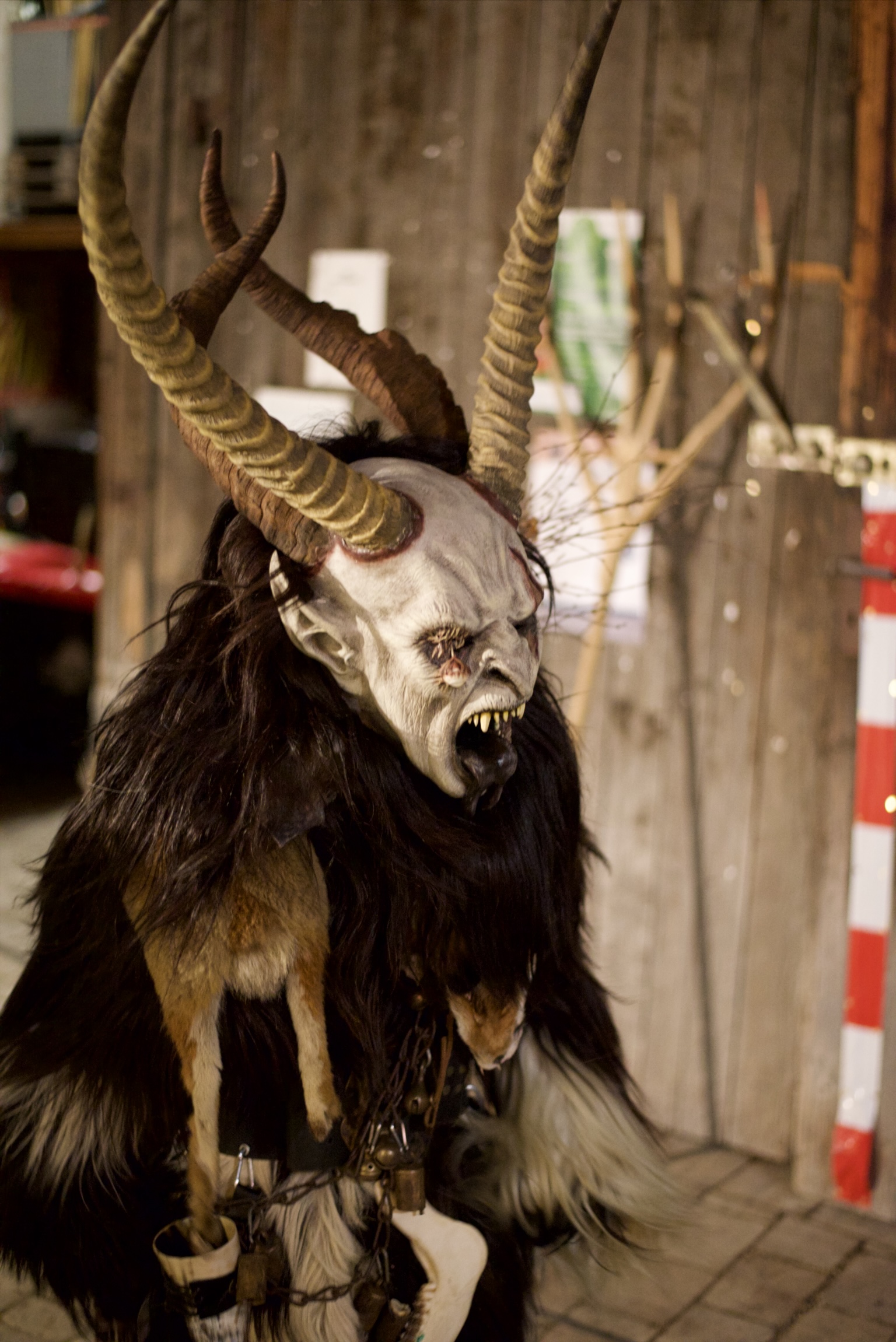 Foto 24.11.24, 17 58 15