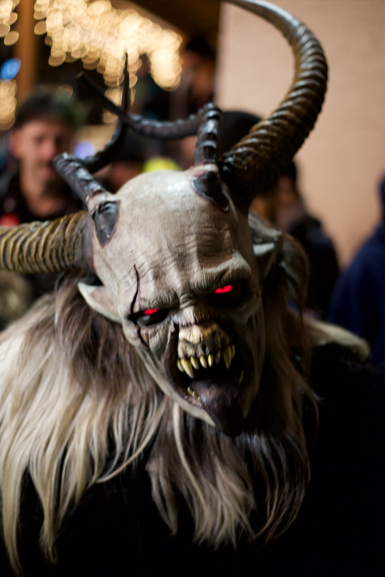 Foto 24.11.24, 18 16 02