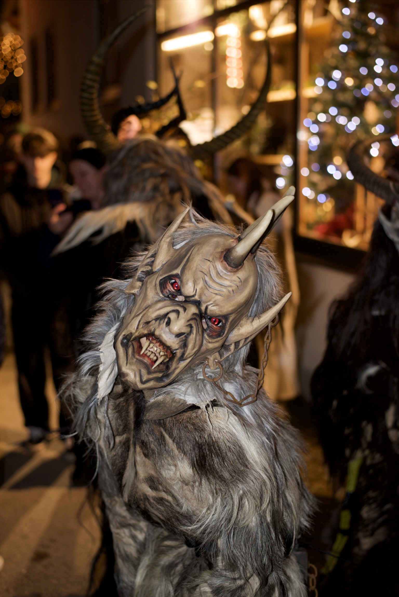 Foto 24.11.24, 18 20 21