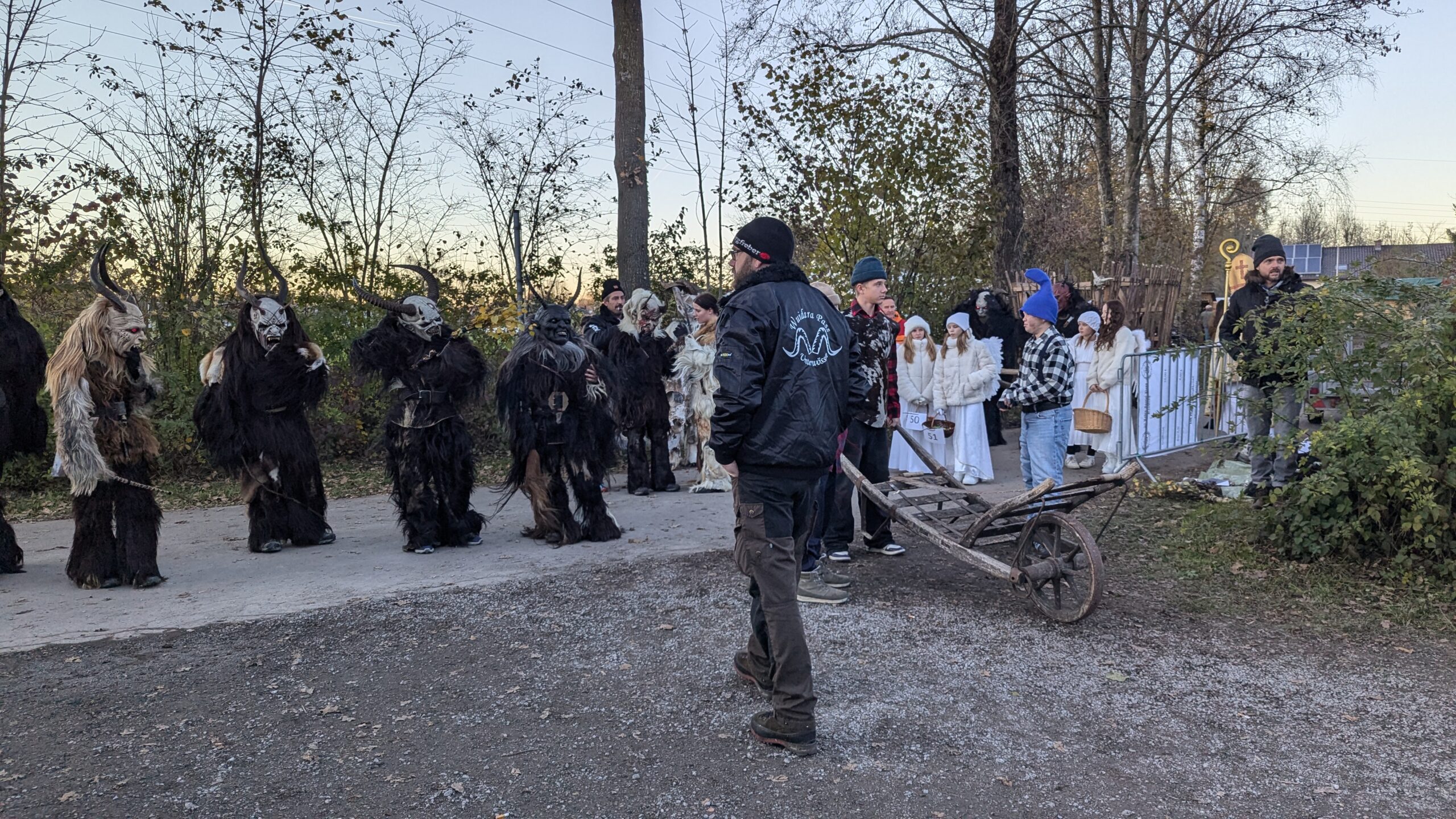 PXL_20241116_150024829.MP