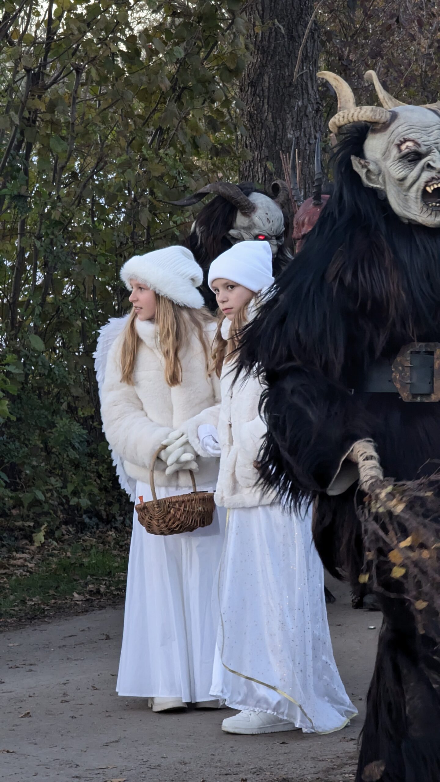 PXL_20241116_150312369