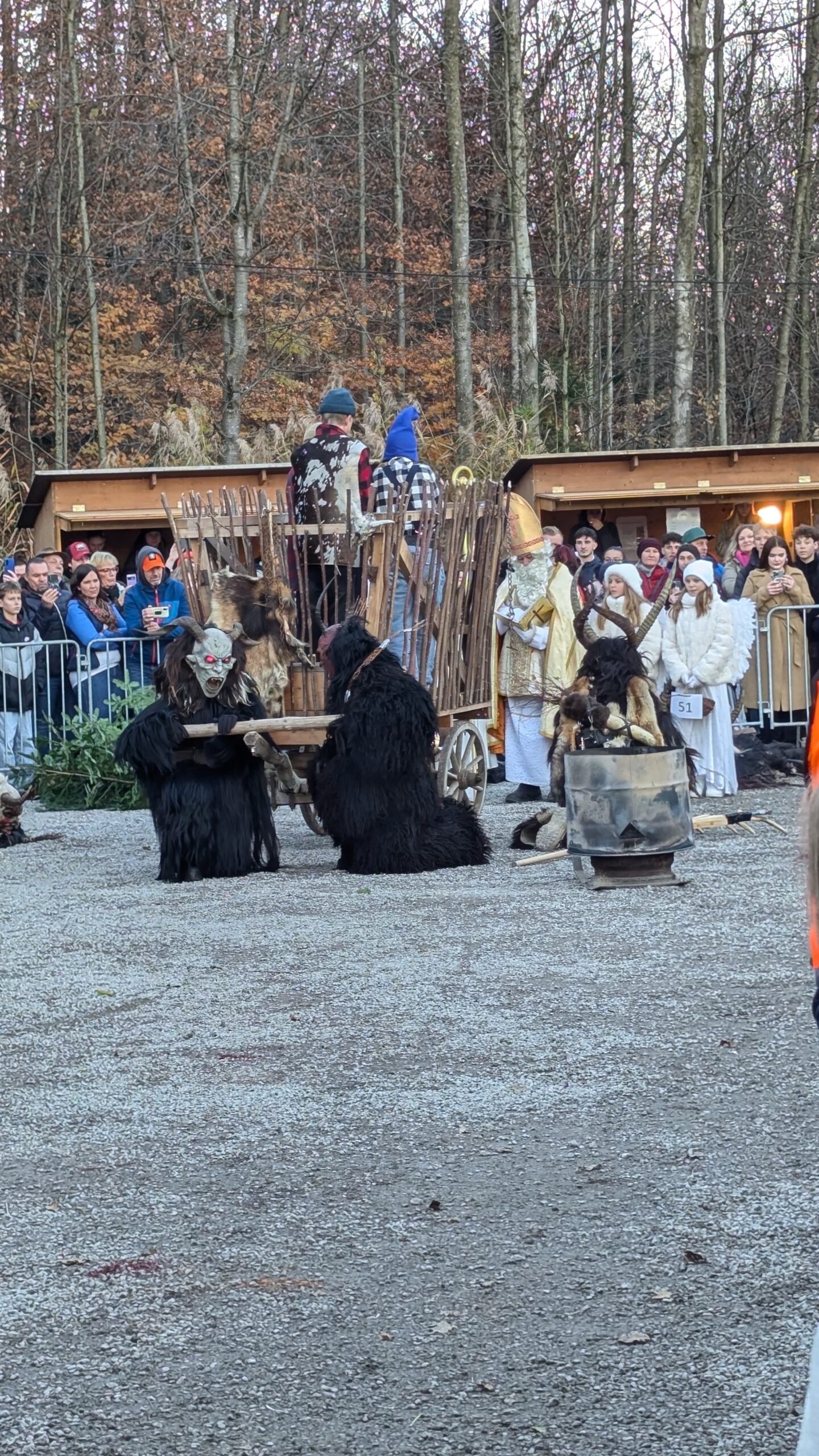 PXL_20241116_151233465