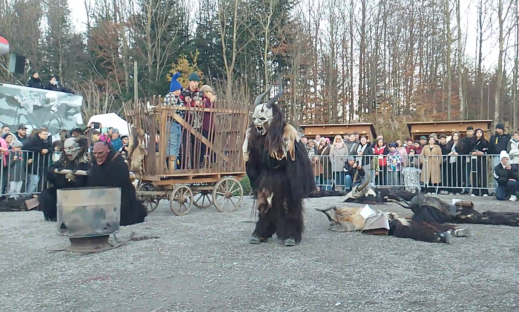 Screenshot_20241117-094342~2