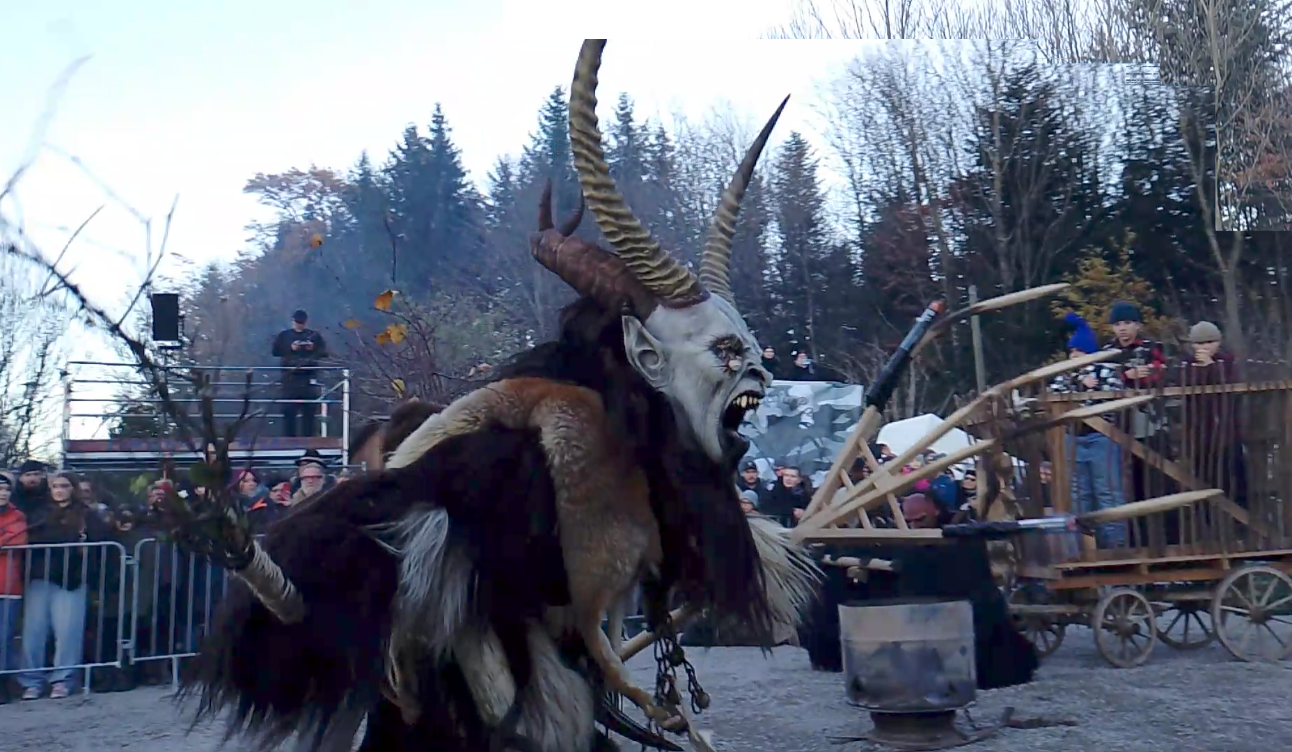 Screenshot_20241117-094646~2