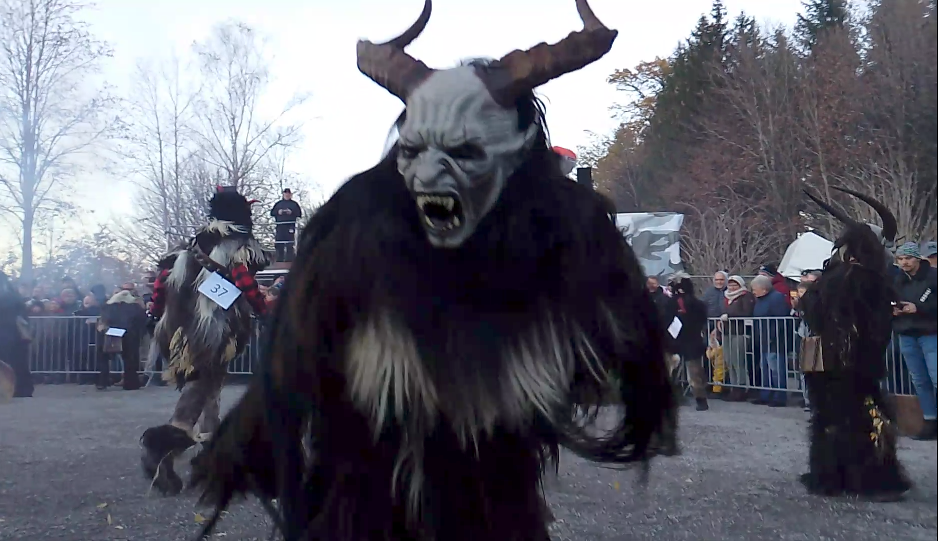 Screenshot_20241117-094918~2