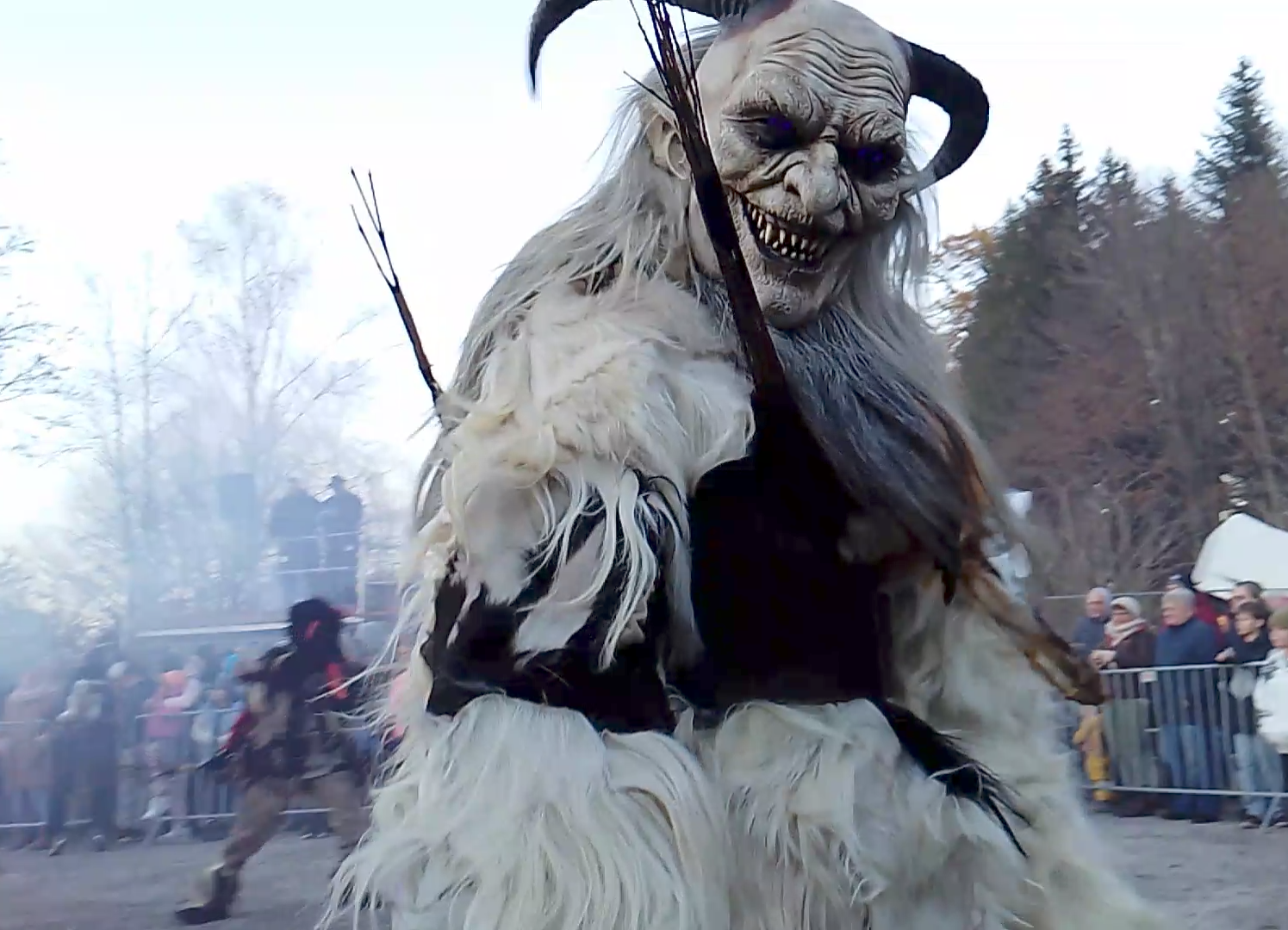 Screenshot_20241117-094926~3